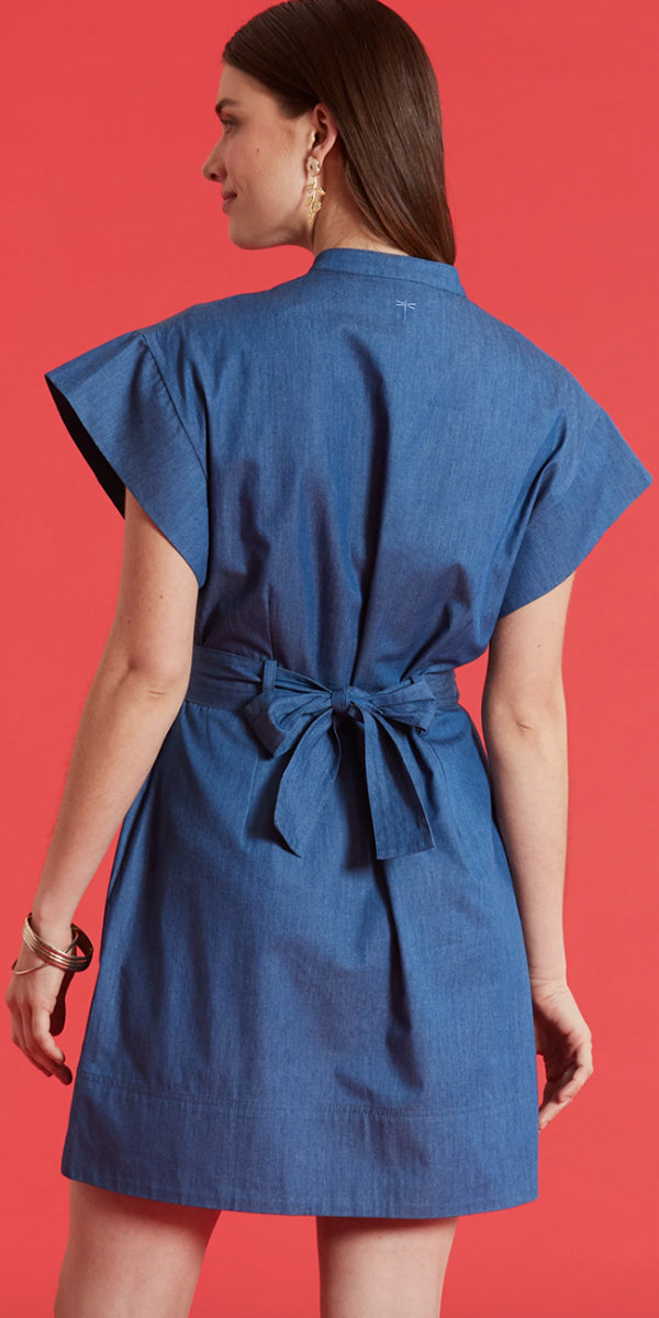 Tyler Boe Wendy Denim Shirtdress